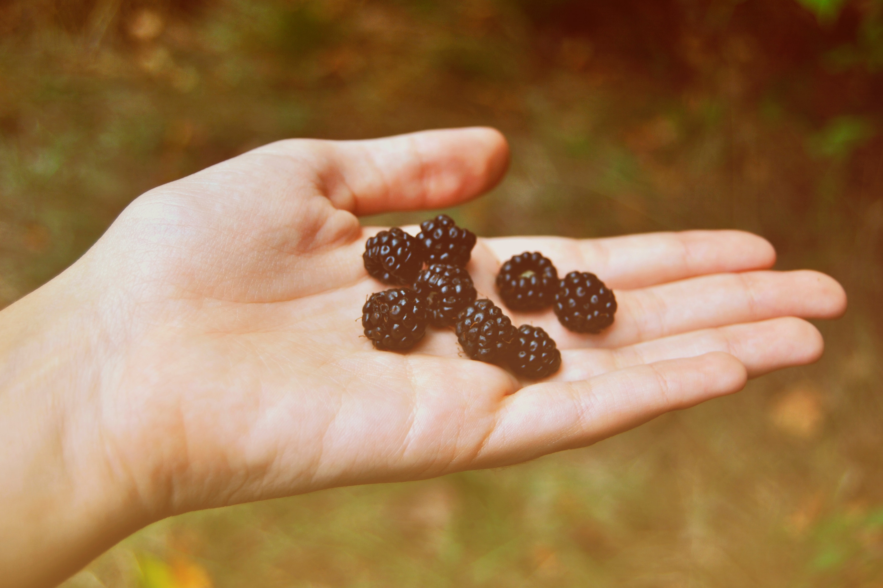 yolanda-leyva-635145-unsplash